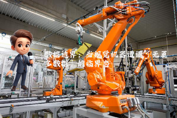 数据边界：当视觉机器遭遇「无更多数据」的临界态